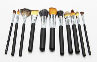 簡約美妝新選擇 九支化妝刷與家居護理用品的貼心組合